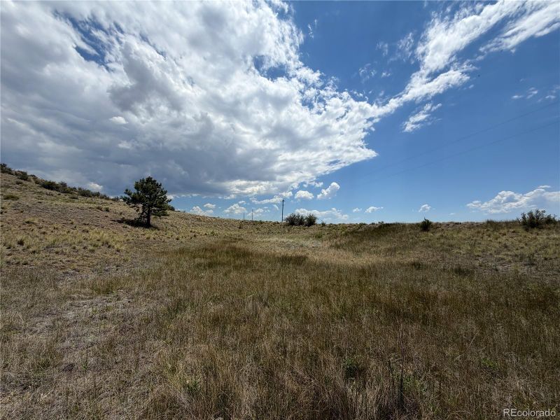 0 Trout St, Hartsel, CO 80449