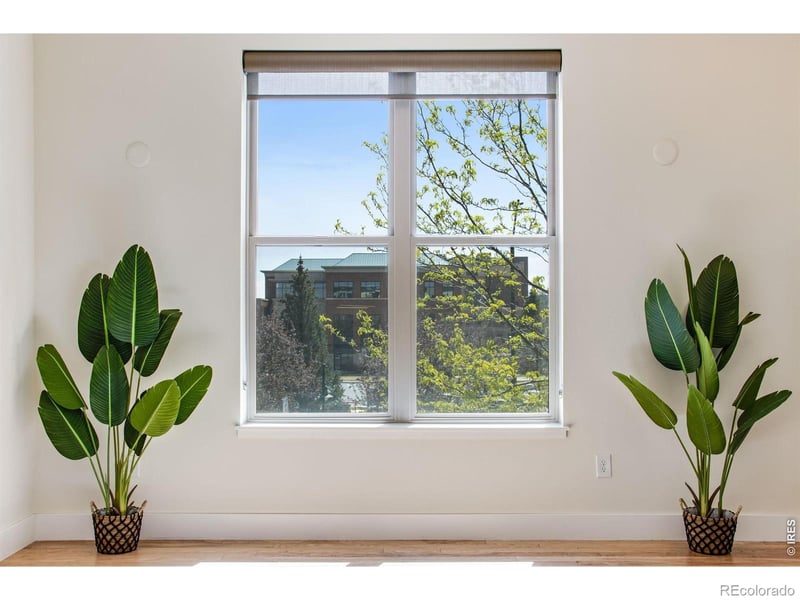 204 Maple St #208, Fort Collins, CO 80521
