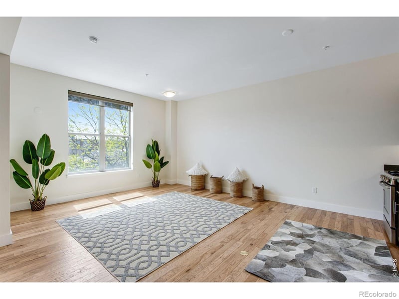 204 Maple St #208, Fort Collins, CO 80521