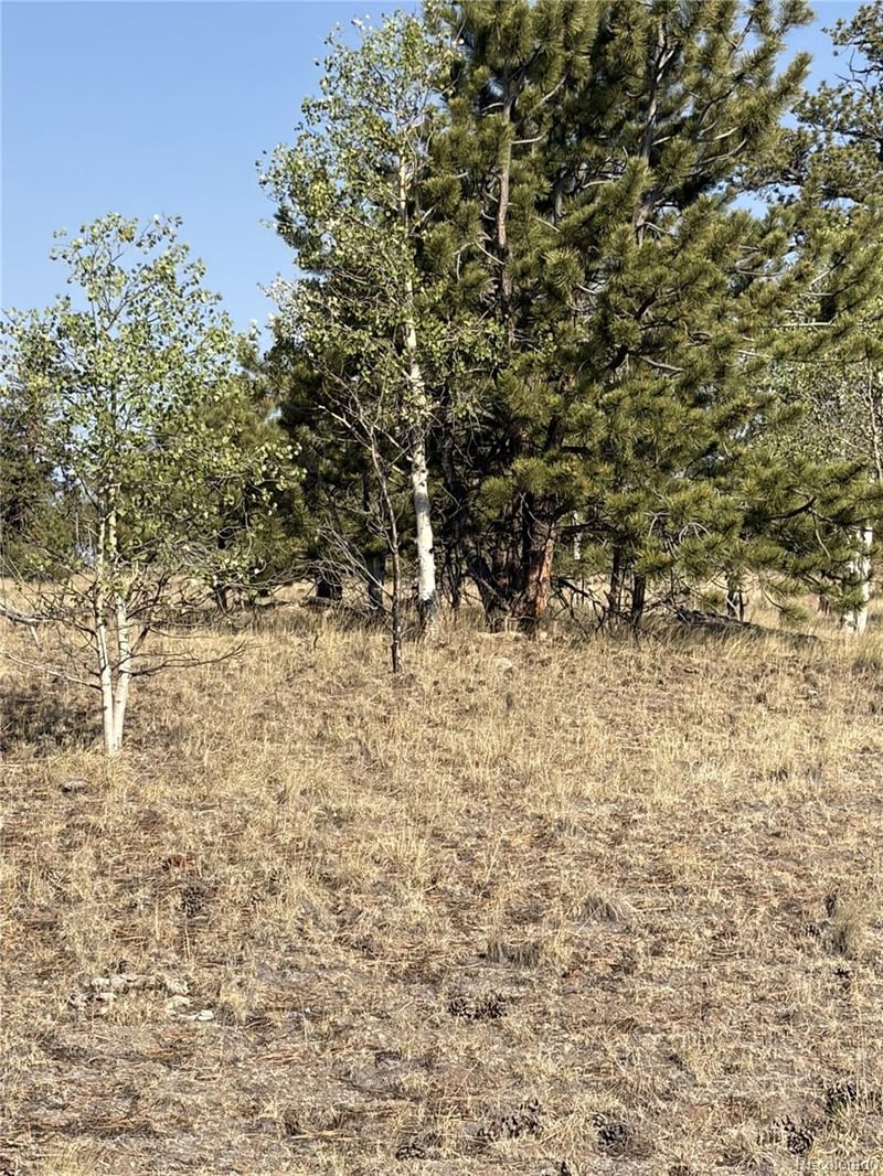 3031 Mcdowell Dr, Como, CO 80432