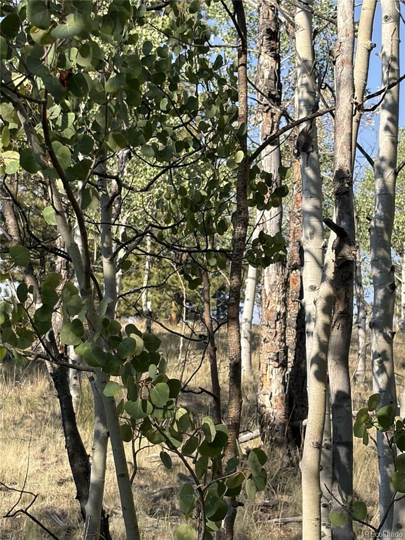 3031 Mcdowell Dr, Como, CO 80432
