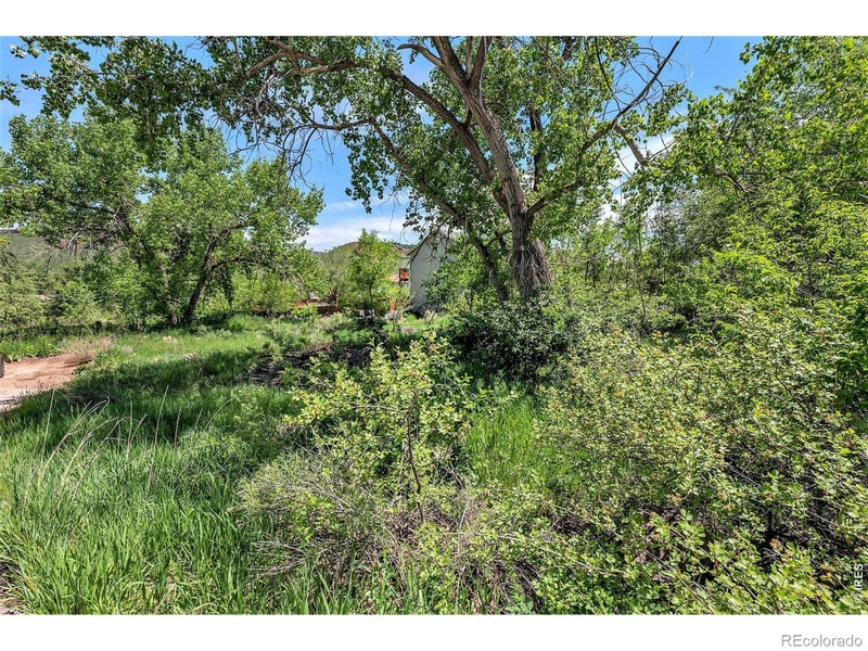 4804 Foothills Dr, Fort Collins, CO 80526