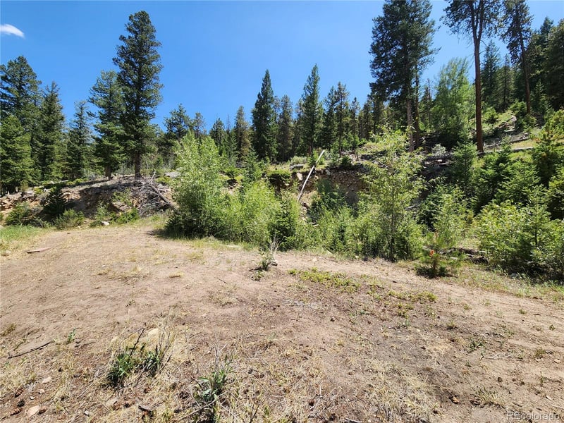 256 Capital Rd, Dumont, CO 80436