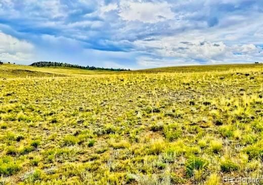123 Chickamauga Trl, Hartsel, CO 80449