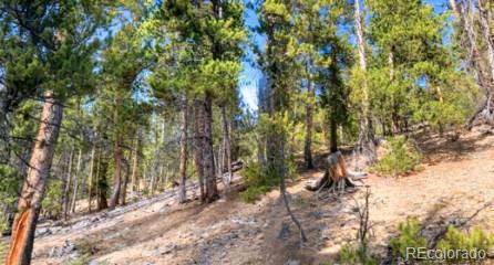 111 Kevin Gulch Rd, Leadville, CO 80461