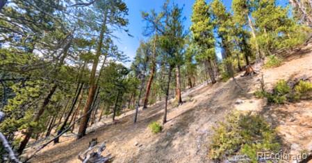 111 Kevin Gulch Rd, Leadville, CO 80461