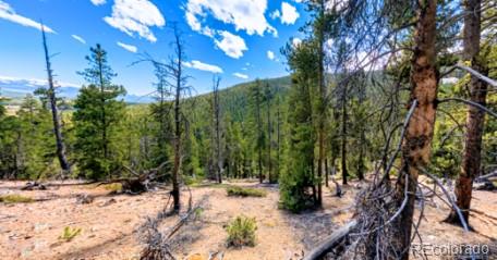 111 Kevin Gulch Rd, Leadville, CO 80461