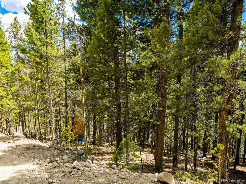 9 Rainbow Rd Lot 9, Idaho Springs, CO 80452