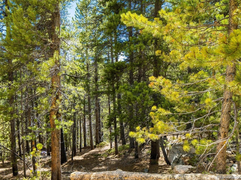 9 Rainbow Rd Lot 9, Idaho Springs, CO 80452