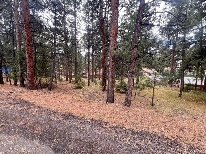 26698 De Berry St, Conifer, CO 80433