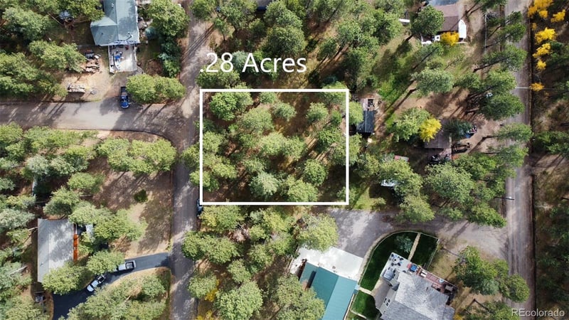 26698 De Berry St, Conifer, CO 80433