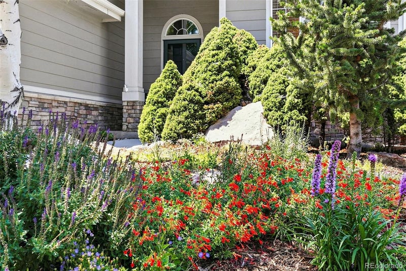 10187 Riverstone Dr, Parker, CO 80134