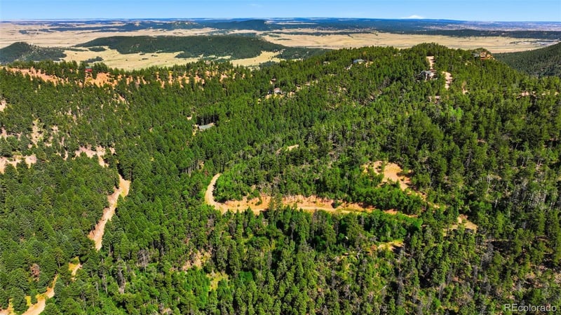 13488 S Firedog Way, Larkspur, CO 80118