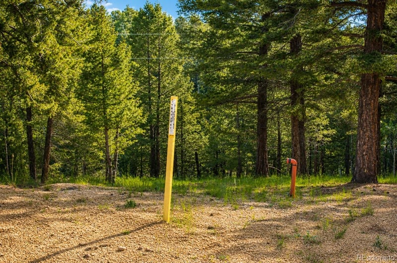 123 Ellis Lake Cir Lot 59, Divide, CO 80814