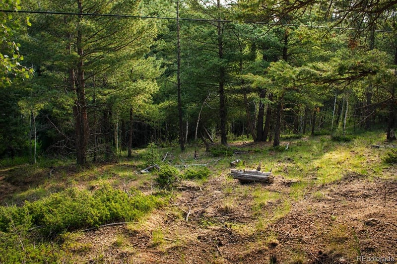 123 Ellis Lake Cir Lot 59, Divide, CO 80814
