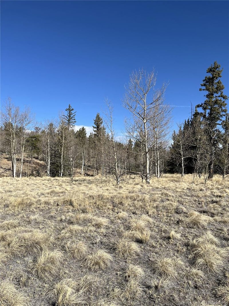 325 Shoshone Dr, Como, CO 80456