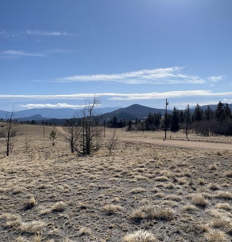 325 Shoshone Dr, Como, CO 80456