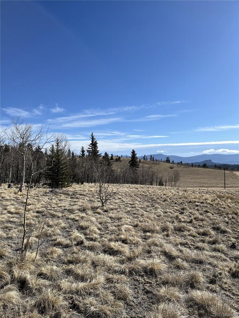 325 Shoshone Dr, Como, CO 80456