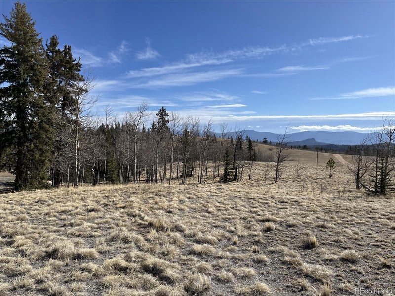 325 Shoshone Dr, Como, CO 80456