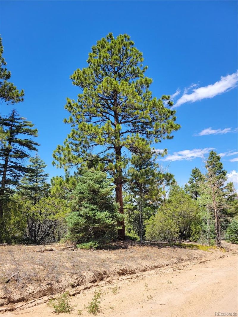 Lots 2716 - 2717 Sesame Rd, Fort Garland, CO 81133