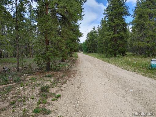849 Topaz St Lot 10, Leadville, CO 80461