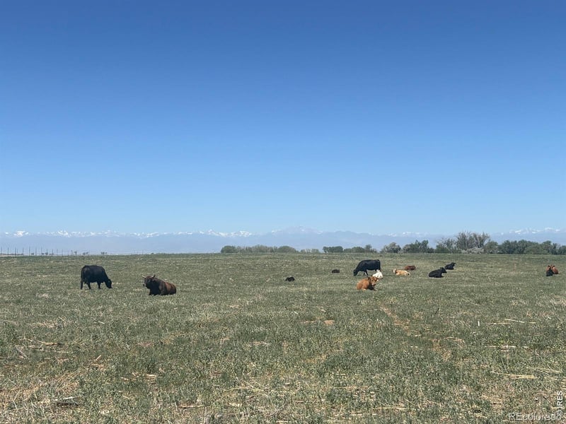 0 County Road 35 #A, Platteville, CO 80651