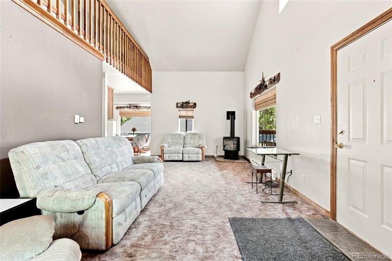 271 Willow Ln, Alma, CO 80420