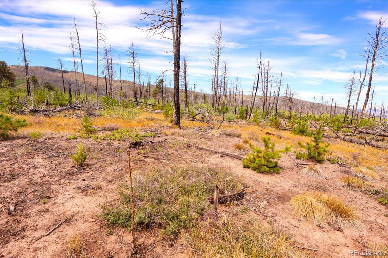 1386 Emery Loop, Fort Garland, CO 81133