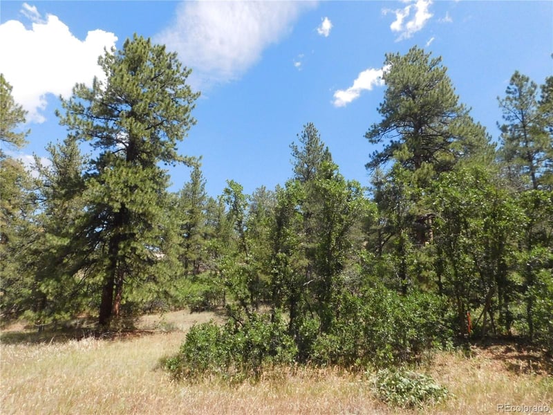 4977 Mohawk Dr, Larkspur, CO 80118