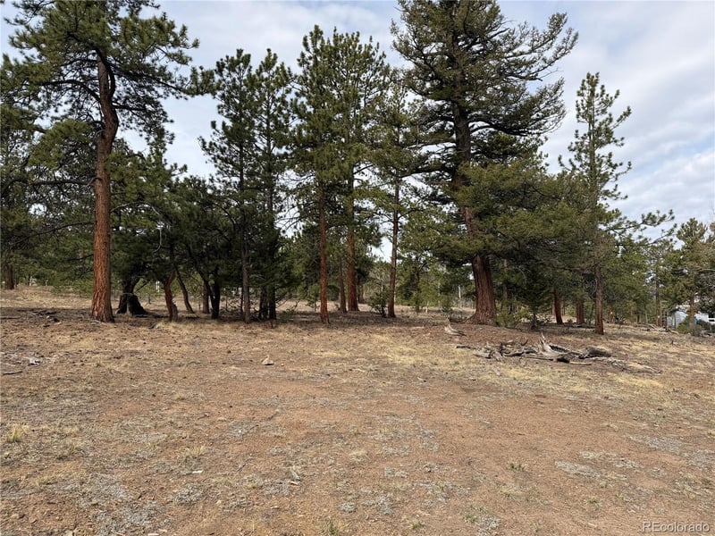 Chubb Ct, Buena Vista, CO 81211