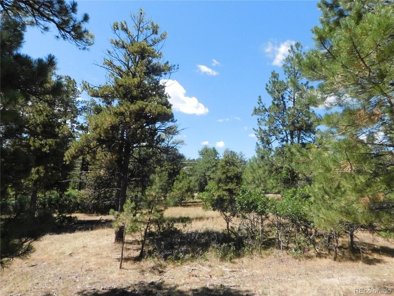 1392 Cameron Ct, Larkspur, CO 80118