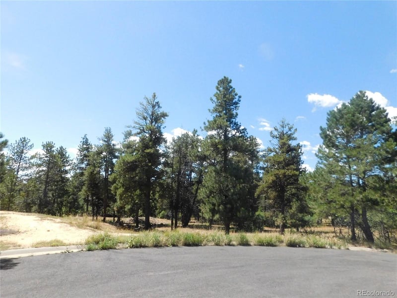 1392 Cameron Ct, Larkspur, CO 80118