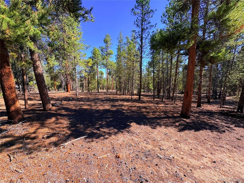 399 Lodgepole Dr Lot 28, Leadville, CO 80461
