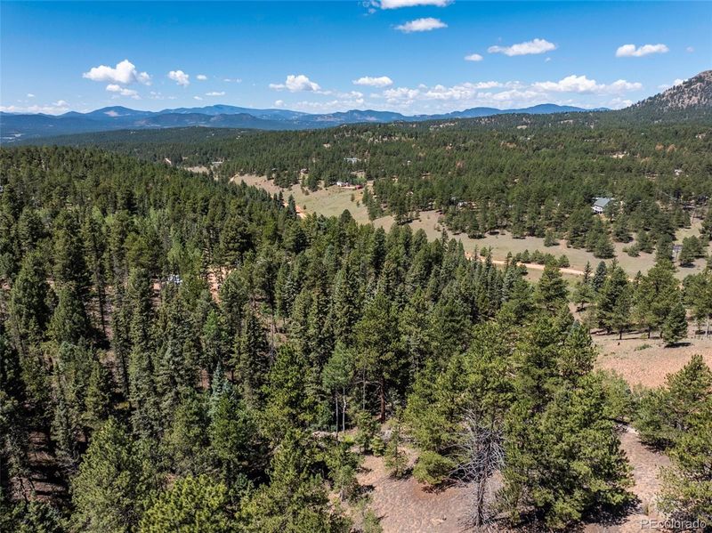 1676 Pathfinder Rd, Florissant, CO 80816
