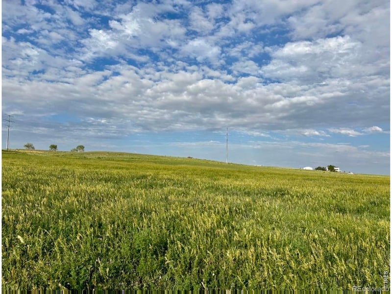3259 W County Road 80, Wellington, CO 80549
