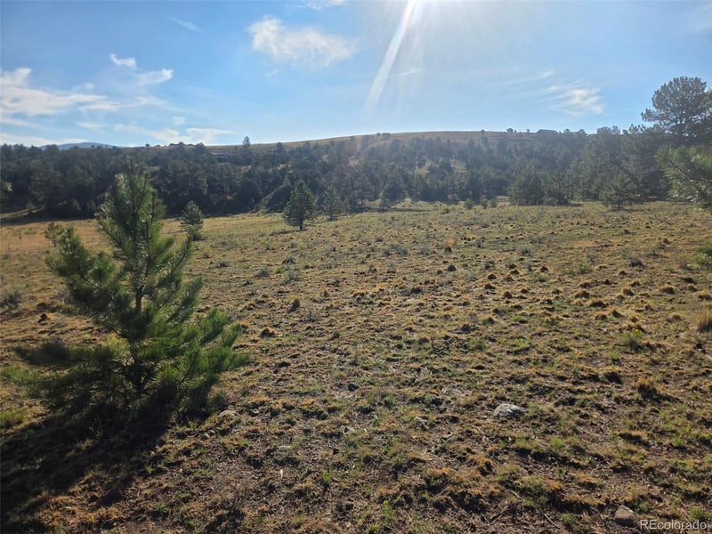 Crystal Falls Lot 156, Westcliffe, CO 81252
