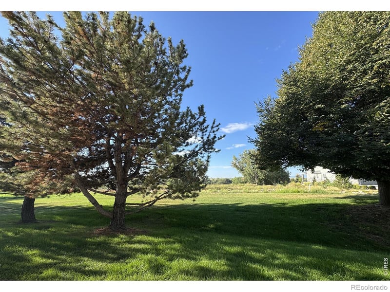 1601 Great Western Dr #6, Longmont, CO 80501