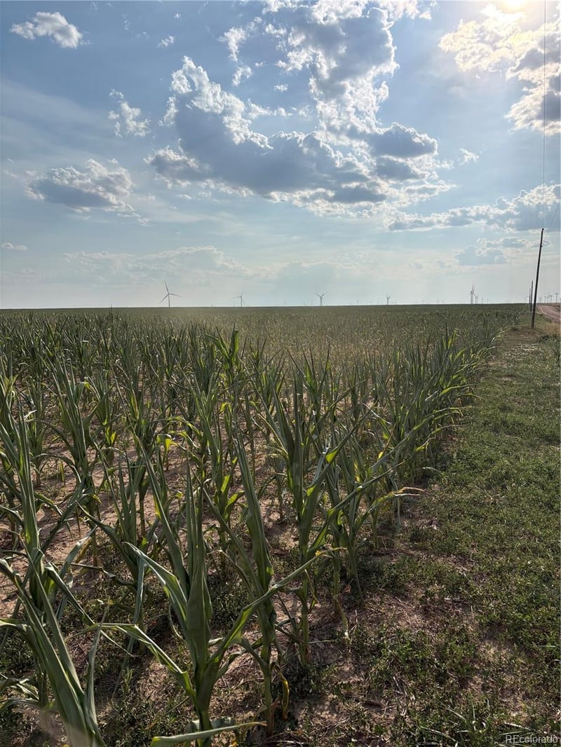 Ne4 27 10s 45w, Bethune, CO 80807