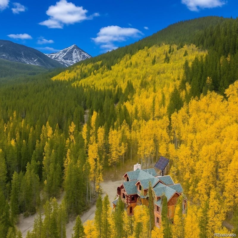 733 Rainbow Rd, Idaho Springs, CO 80452