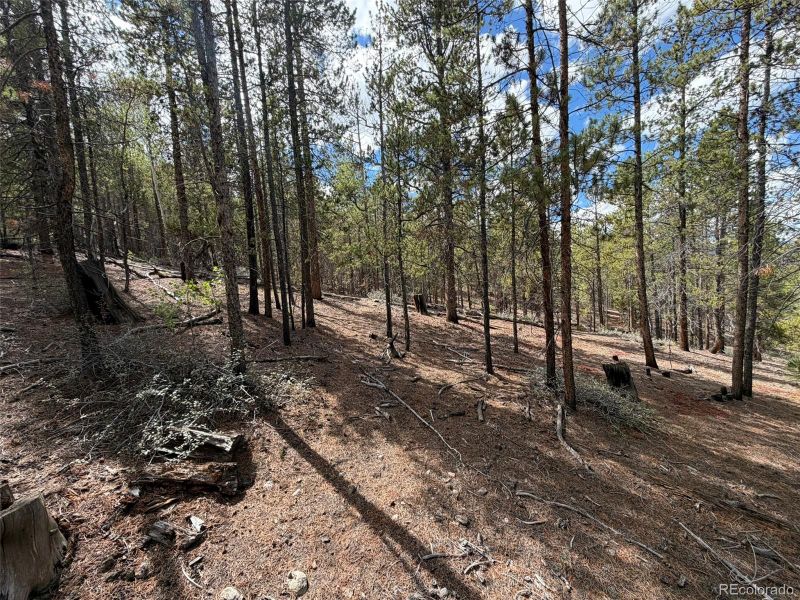 105 Parry Peak Dr, Twin Lakes, CO 81251