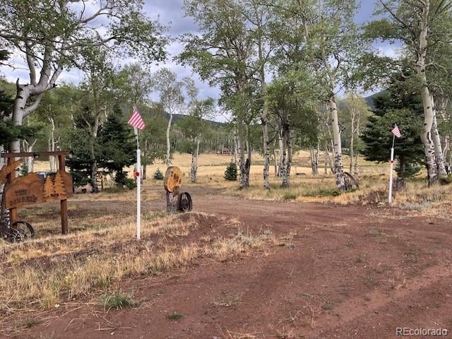 2876 Fery Loop, Fort Garland, CO 81133