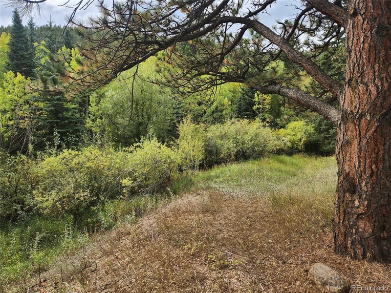 531 Caribou Rd, Nederland, CO 80466