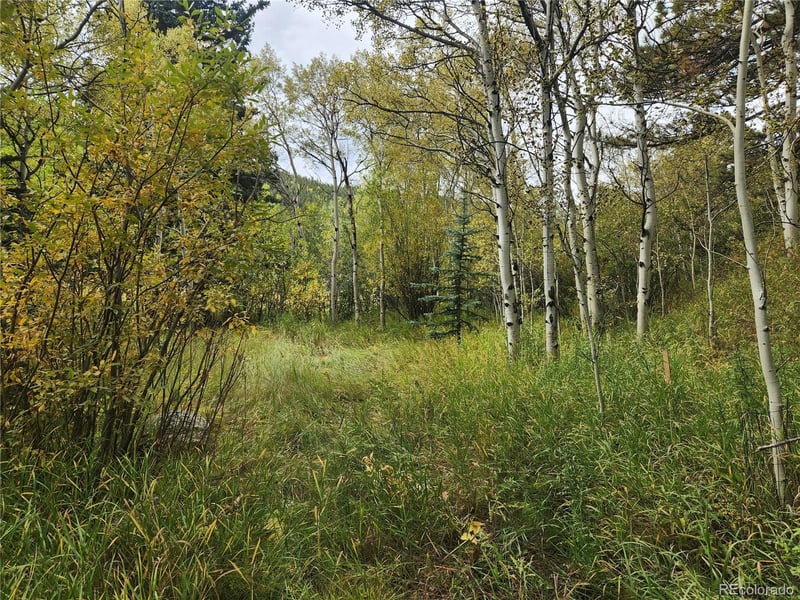 531 Caribou Rd, Nederland, CO 80466