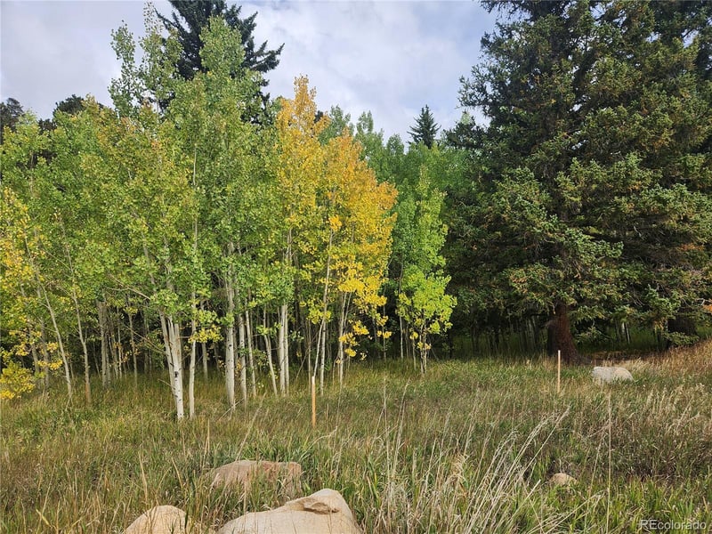 531 Caribou Rd, Nederland, CO 80466
