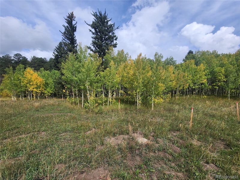 531 Caribou Rd, Nederland, CO 80466