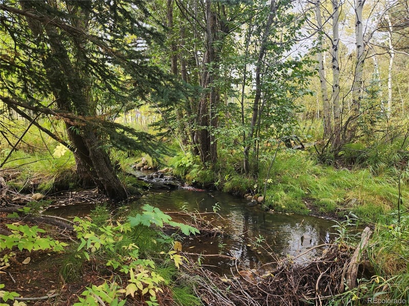 531 Caribou Rd, Nederland, CO 80466