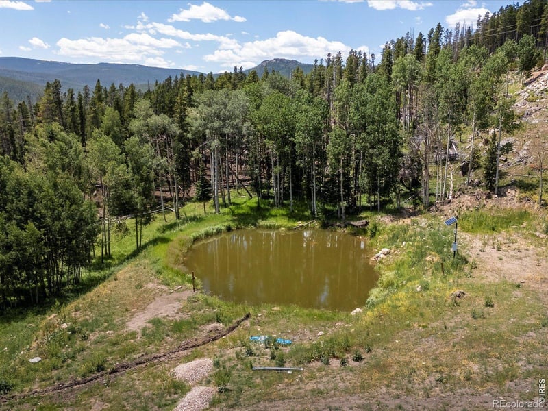 224 Six Elk Ct, Red Feather Lakes, CO 80545