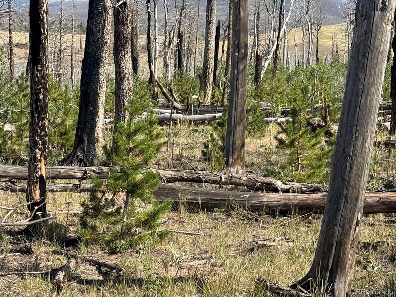Lot 2499 Gilmartin Ln Lot 2499, Fort Garland, CO 81133