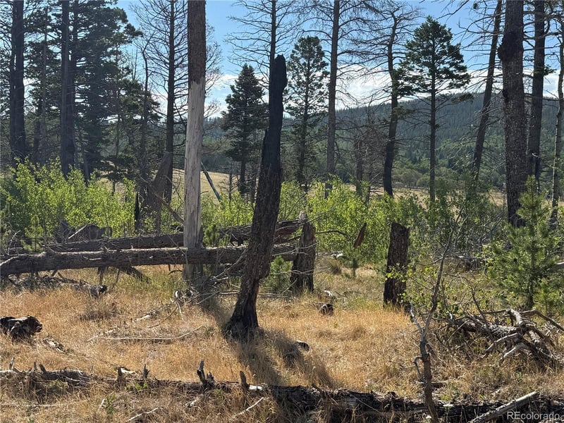 Lot 2499 Gilmartin Ln Lot 2499, Fort Garland, CO 81133