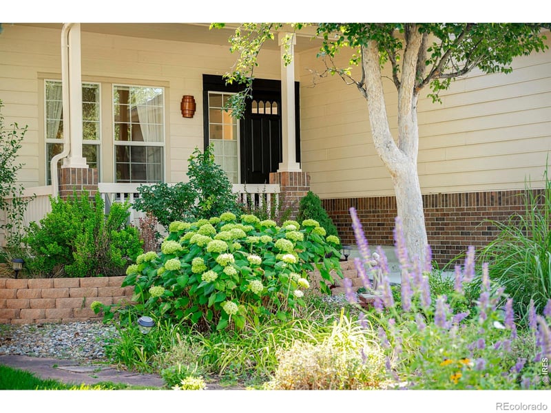 1816 Alpine St, Longmont, CO 80504